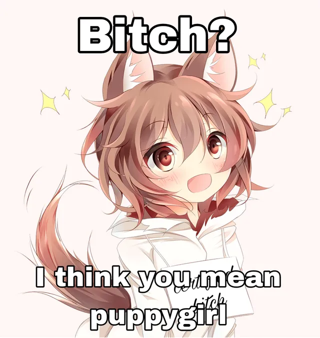 meme: bitch? i think you mean puppygirl